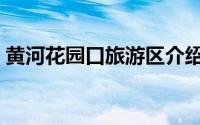 黄河花园口旅游区介绍（黄河花园口旅游区）