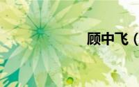 顾中飞（顾中发）