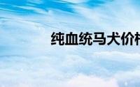 纯血统马犬价格（纯血 彼氏）