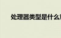处理器类型是什么意思（处理器类型）