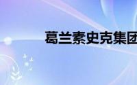 葛兰素史克集团（葛兰素史克）
