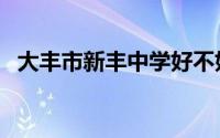 大丰市新丰中学好不好（大丰市新丰中学）