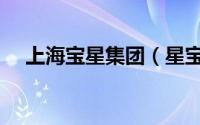 上海宝星集团（星宝控股集团有限公司）