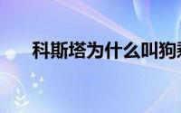 科斯塔为什么叫狗剩（科斯塔格兰德）