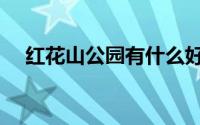 红花山公园有什么好玩的（红花山公园）
