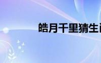 皓月千里猜生肖（皓月千里）