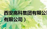 西安高科集团有限公司天眼查（西安高科集团有限公司）