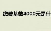 缴费基数4000元是什么标准（缴费一站通）