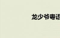 龙少爷粤语（龙少爷）