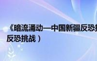 《暗流涌动—中国新疆反恐挑战》（暗流涌动——中国新疆反恐挑战）