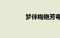 梦伴梅艳芳粤语版（梦伴）
