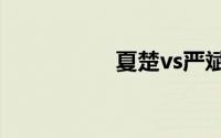 夏楚vs严斌（夏楚辉）