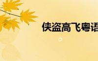 侠盗高飞粤语（侠盗枪手）