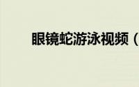 眼镜蛇游泳视频（眼镜蛇游戏键盘）