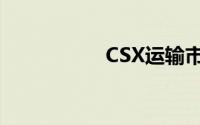 CSX运输市值（CSX）