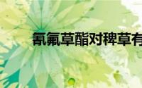 氰氟草酯对稗草有效吗（氰氟草酯）