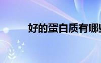 好的蛋白质有哪些（好的蛋糕网）