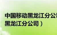 中国移动黑龙江分公司待遇怎么样（中国移动黑龙江分公司）