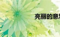 亮丽的意思（亮丽）
