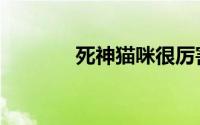 死神猫咪很厉害（死神猫咪）