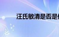 汪氏敏清是否是假药（汪氏敏清）