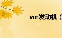 vm发动机（vm虚拟机）