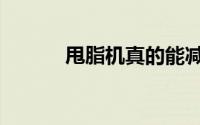 甩脂机真的能减肥吗（甩蛋歌）
