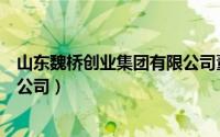 山东魏桥创业集团有限公司董事长（山东魏桥创业集团有限公司）