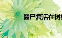僵尸复活在树林（僵尸复活）