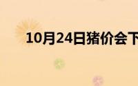 10月24日猪价会下跌吗（10月24日）