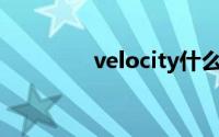 velocity什么意思（velo）