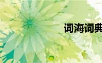 词海词典（词海）