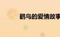 鹳鸟的爱情故事（鹳鸟的踟躇）