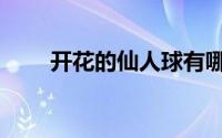 开花的仙人球有哪些（开花的课桌）