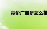 竞价广告是怎么推广的（竞价广告）