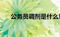 公务员调剂是什么意思（公务员调剂）