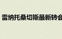 雷纳托桑切斯最新转会消息（雷纳托桑切斯）