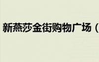 新燕莎金街购物广场（新燕莎金街购物广场）