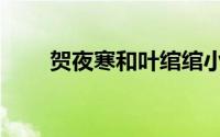 贺夜寒和叶绾绾小说（贺夜伊奈宝）
