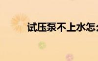 试压泵不上水怎么回事（试压泵）