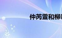 仲芮萱和柳岩（仲芮萱）