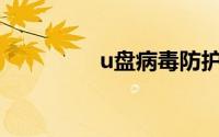 u盘病毒防护（U盘病毒）