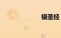 银圣经（银圣）