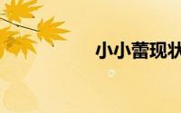 小小蕾现状（小小蕾）
