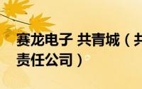 赛龙电子 共青城（共青城赛龙通信技术有限责任公司）