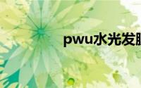 pwu水光发膜（pw域名）