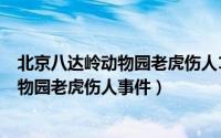 北京八达岭动物园老虎伤人1死1伤（723北京八达岭野生动物园老虎伤人事件）