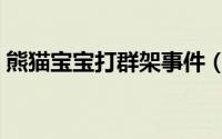 熊猫宝宝打群架事件（熊猫宝宝打群架事件）