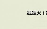 狐狸犬（狐狸慧赚）
