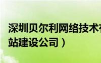 深圳贝尔利网络技术有限公司（深圳贝尔利网站建设公司）